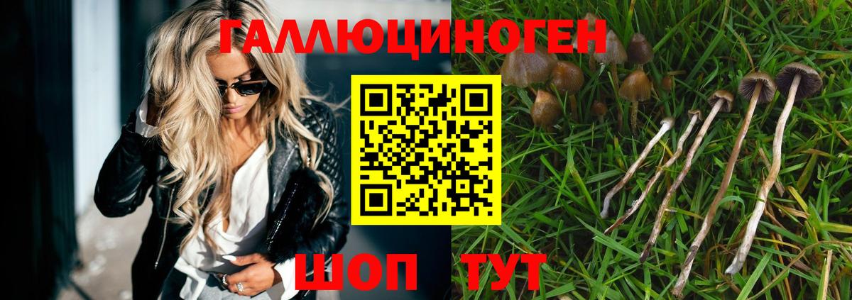 Псилоцибиновые грибы мухоморы  Вход с VPN  Лесосибирск  Псилоцибиновые грибы прущие грибы 